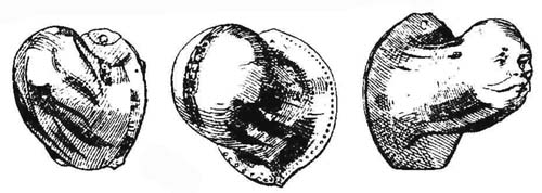 Гульфики. Венделин Бохайм, 1890