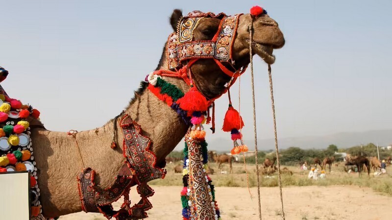 Фото: indiatimes.com