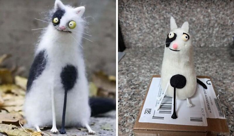 Милый котик
