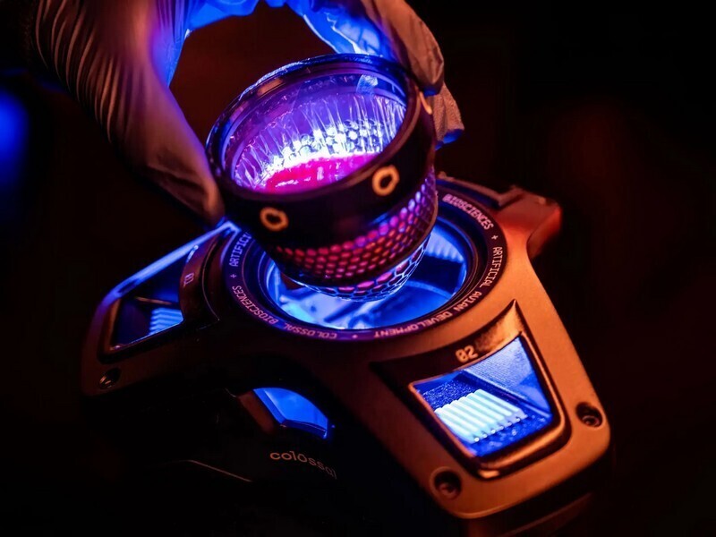 Фото: technologyreview.com