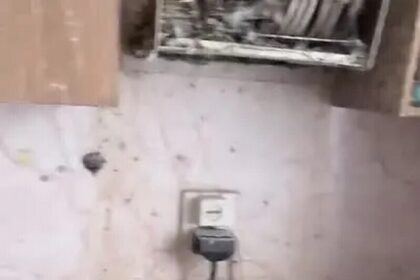 Голубиный Дубай: житель Воркуты уехал на три года, а его квартиру атаковали птицы