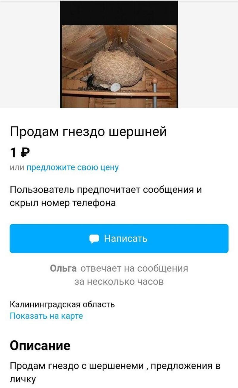 15 фото самых странных объявлений с барахолок в интернете