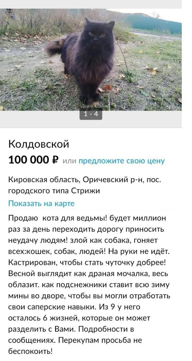 15 фото самых странных объявлений с барахолок в интернете