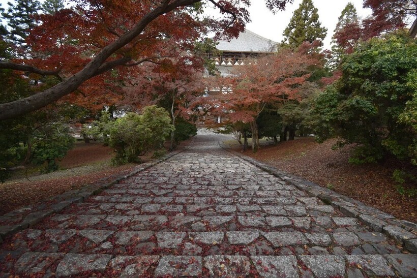 Фото: atlasobscura.com