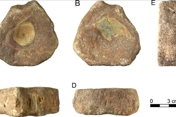 динозавры, археология, Римская Империя, античность