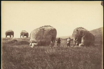 15 исторических фотографий, которые выглядят как окно в прошлое