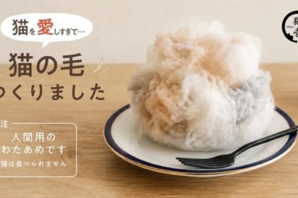 Фото: Necoichi