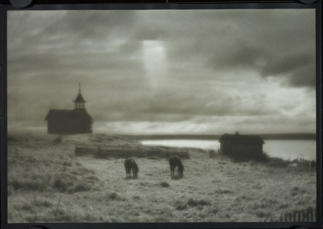 Когда фотография становится искусством. В Третьяковской галерее откроется необычная выставка о природе