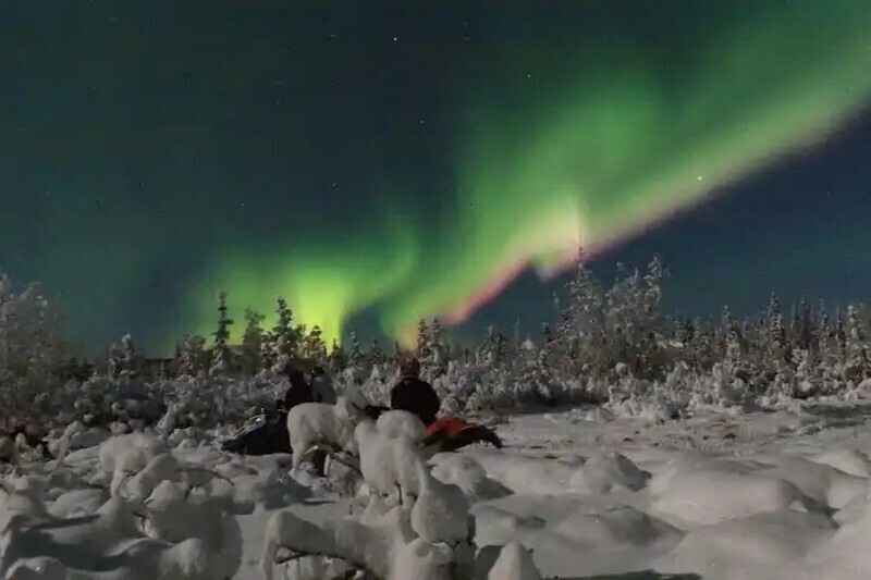 Фото: snowsleighers.com