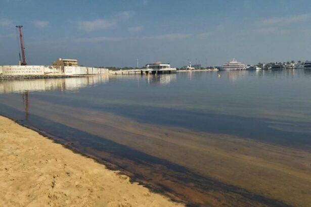 Правительство: все пляжи Шарджи временно закрыли из-за разлива нефти