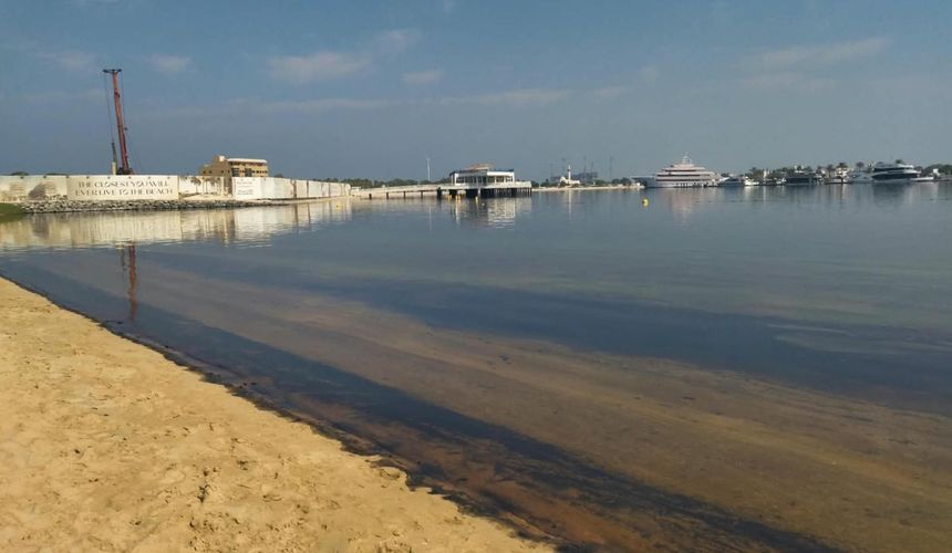 Правительство: все пляжи Шарджи временно закрыли из-за разлива нефти